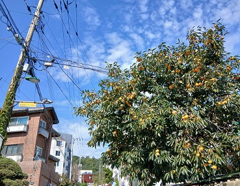 KakaoTalk_20250928_134230345.jpg