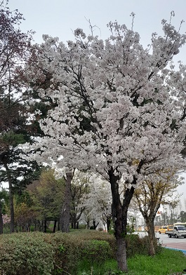 KakaoTalk_20250414_130018137.jpg