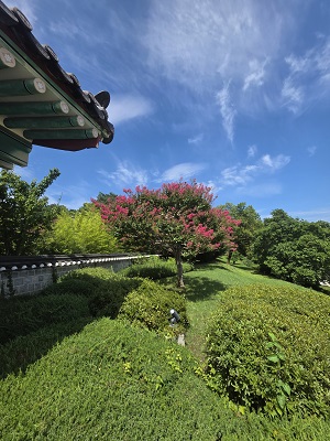 KakaoTalk_20260823_220314904.jpg