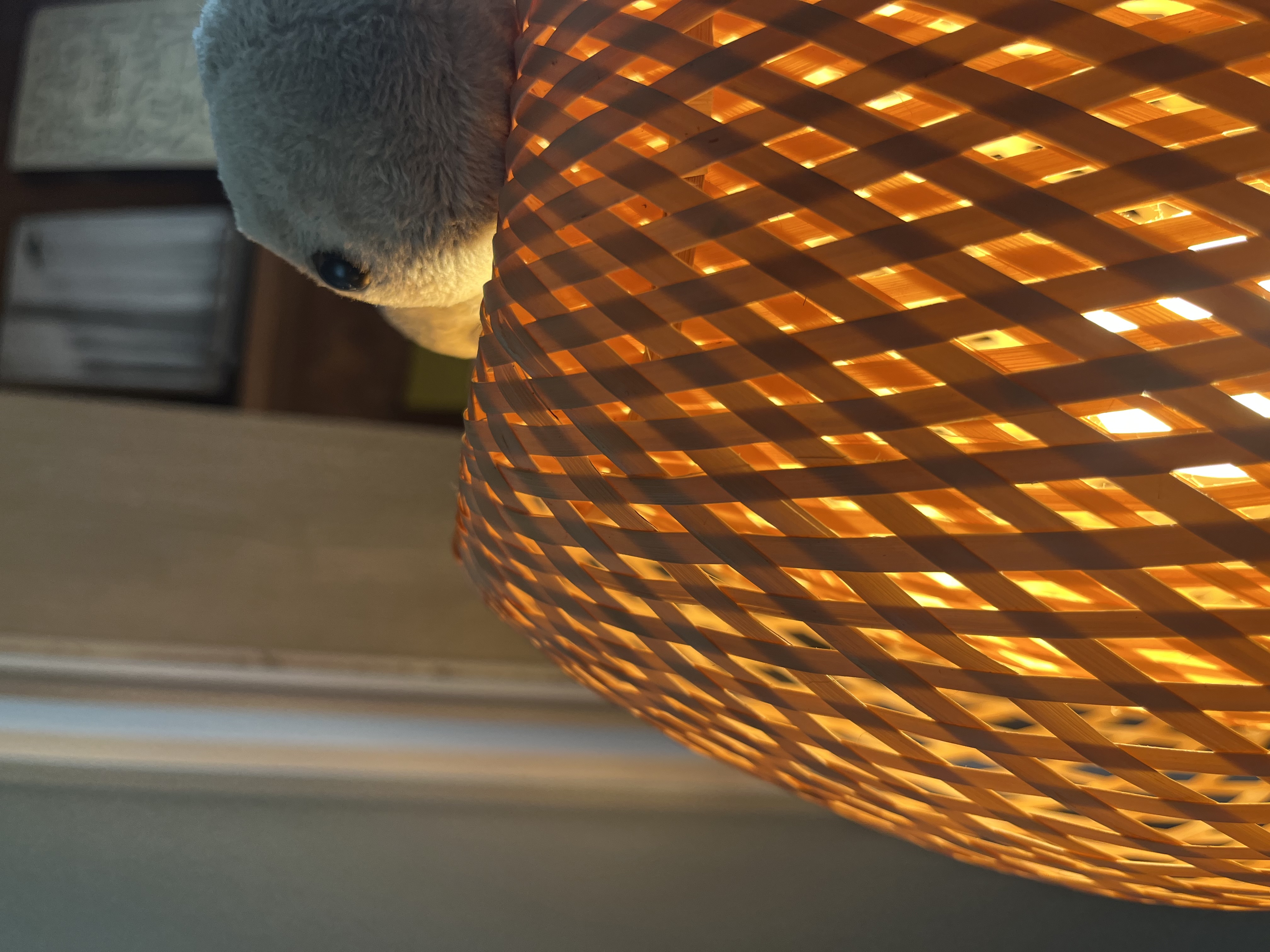 IMG_1924.jpeg