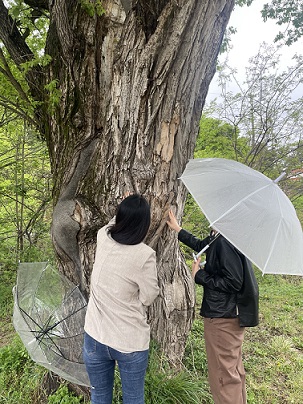 경산소풍.jpg